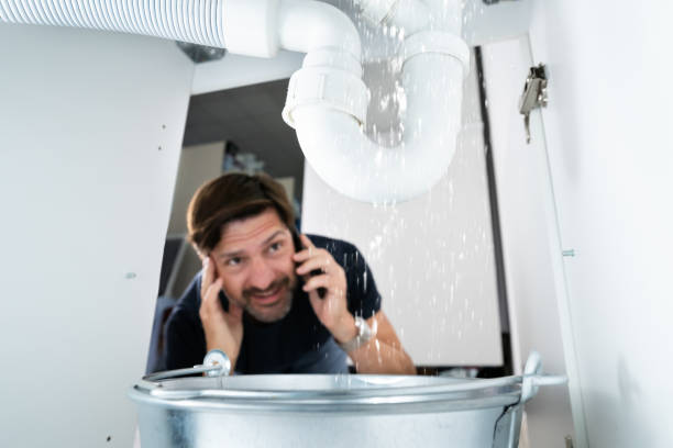 Best Emergency Plumbing Repair  in Roseville, MI