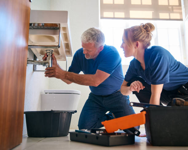 Best Commercial Plumbing Services  in Roseville, MI
